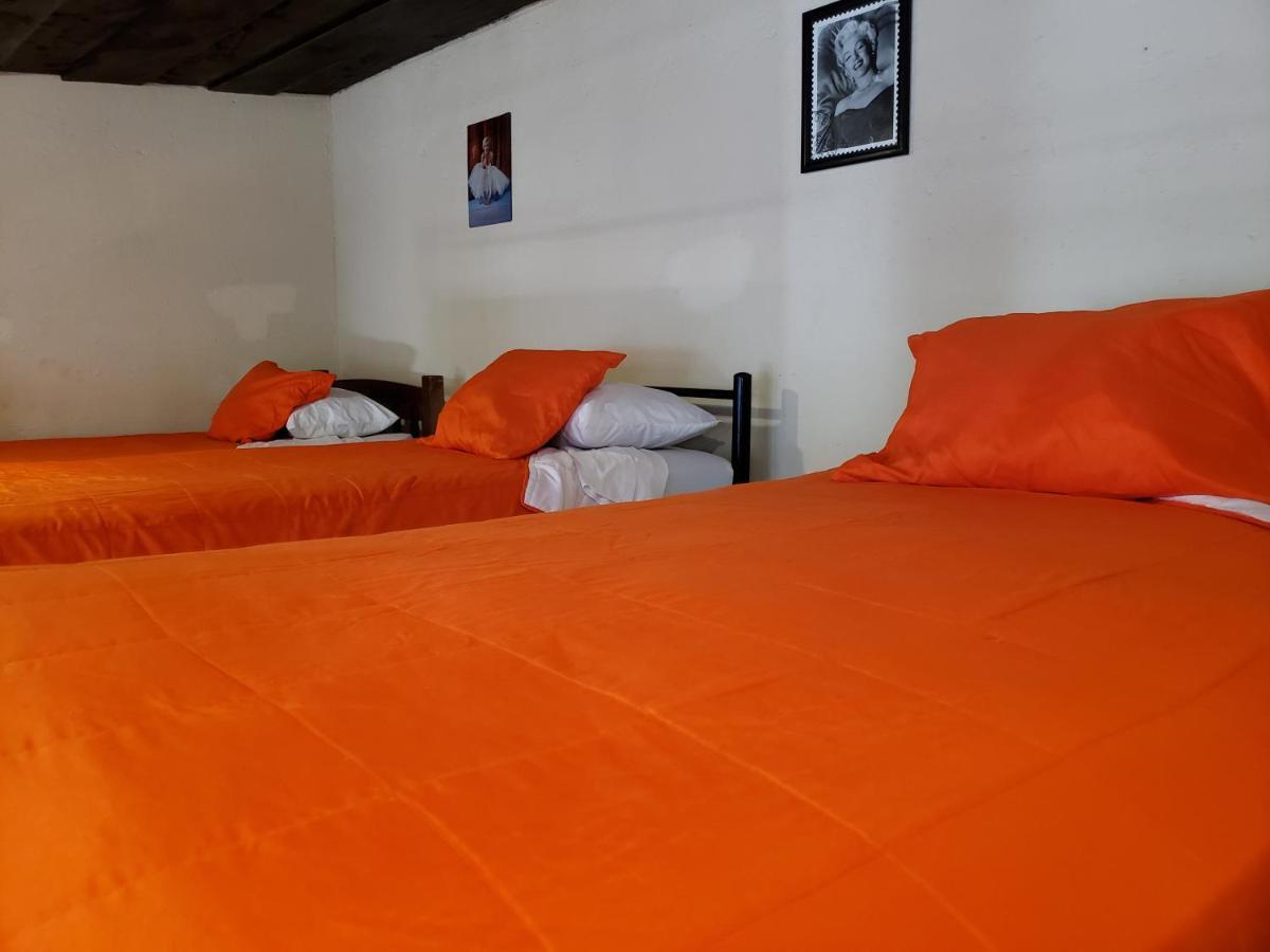 Bed and Breakfast Parrot House Antigua Zewnętrze zdjęcie